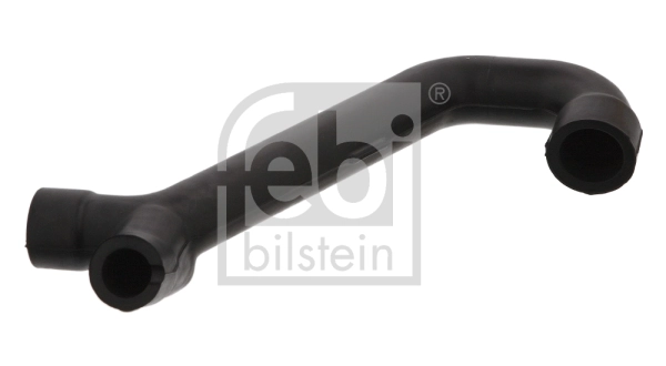 Hose, crankcase ventilation